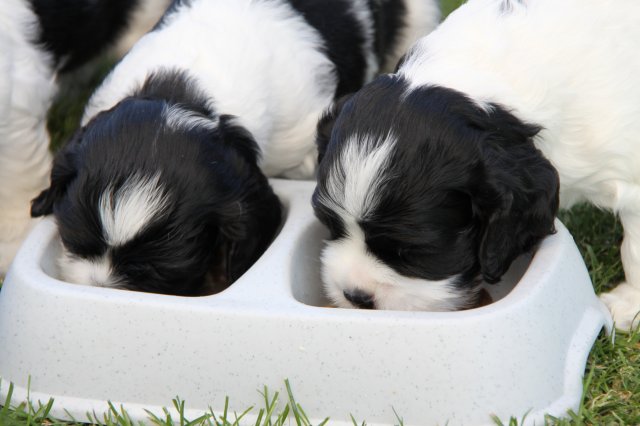 stenata_3_tydny (13)